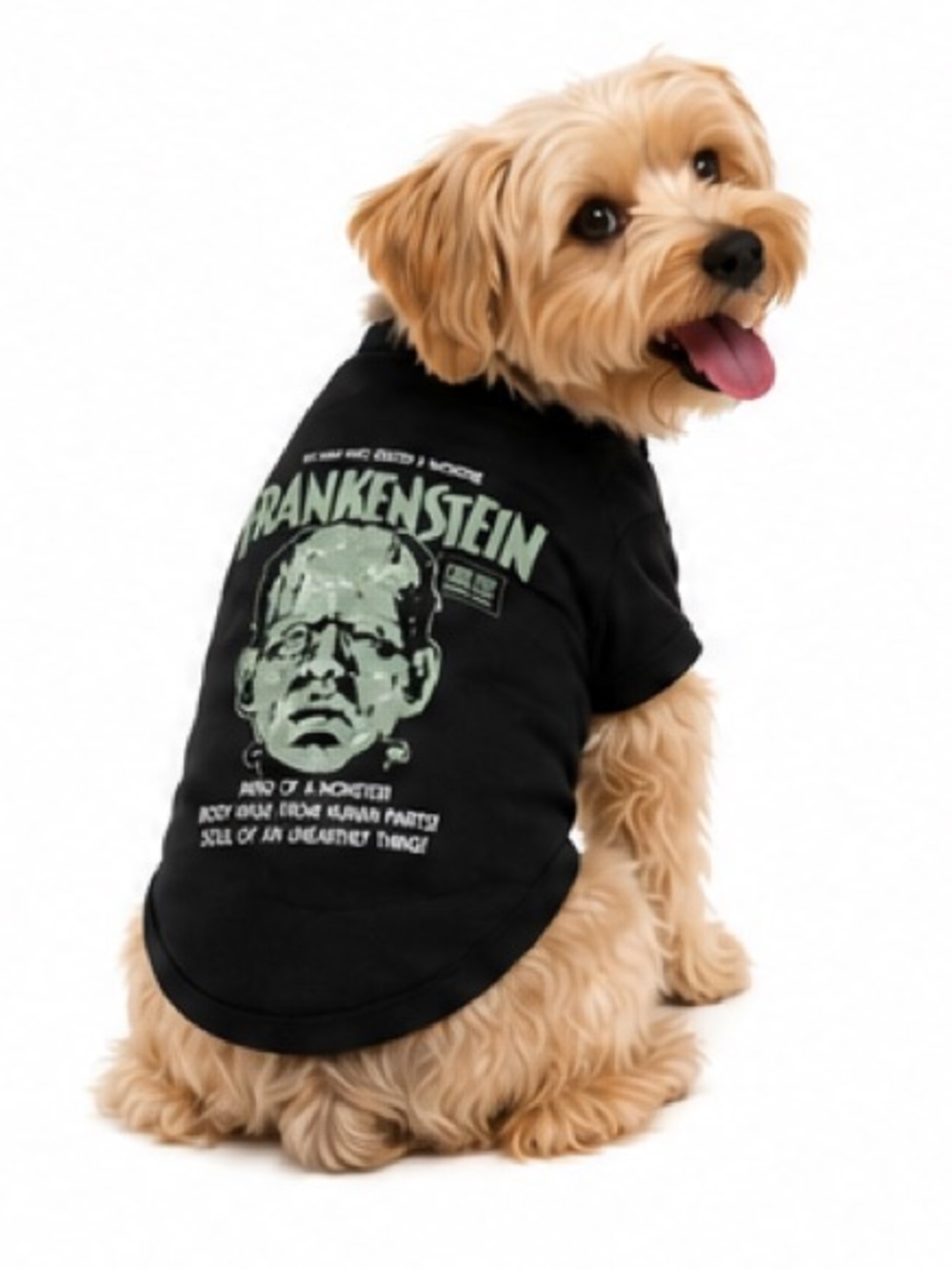 NEW - Universal Monsters Frankenstein Pet T-Shirt Dog Cat Black Size M
